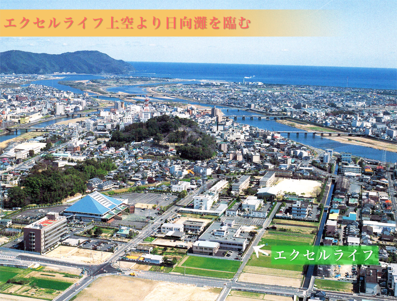 エクセルライフ上空より日向灘を臨む